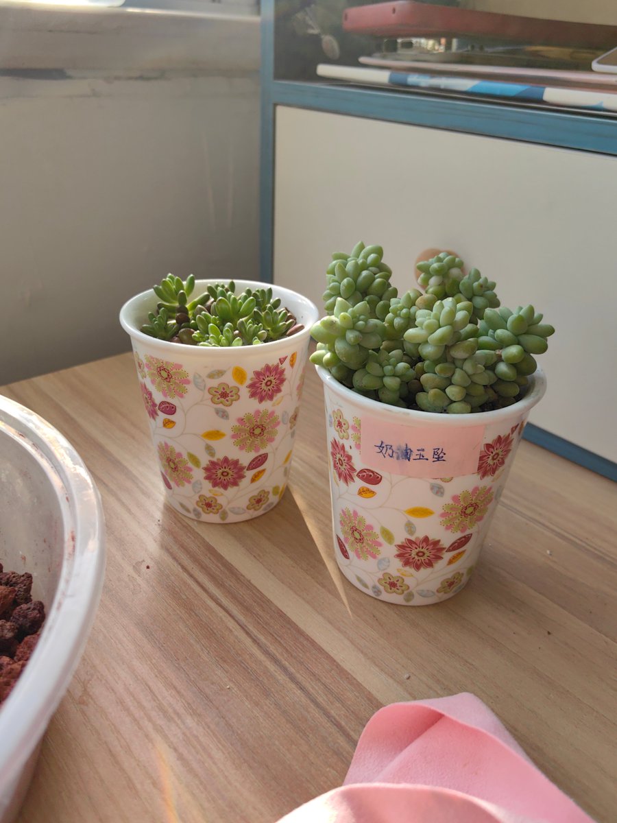 Jerome Malone tweet media