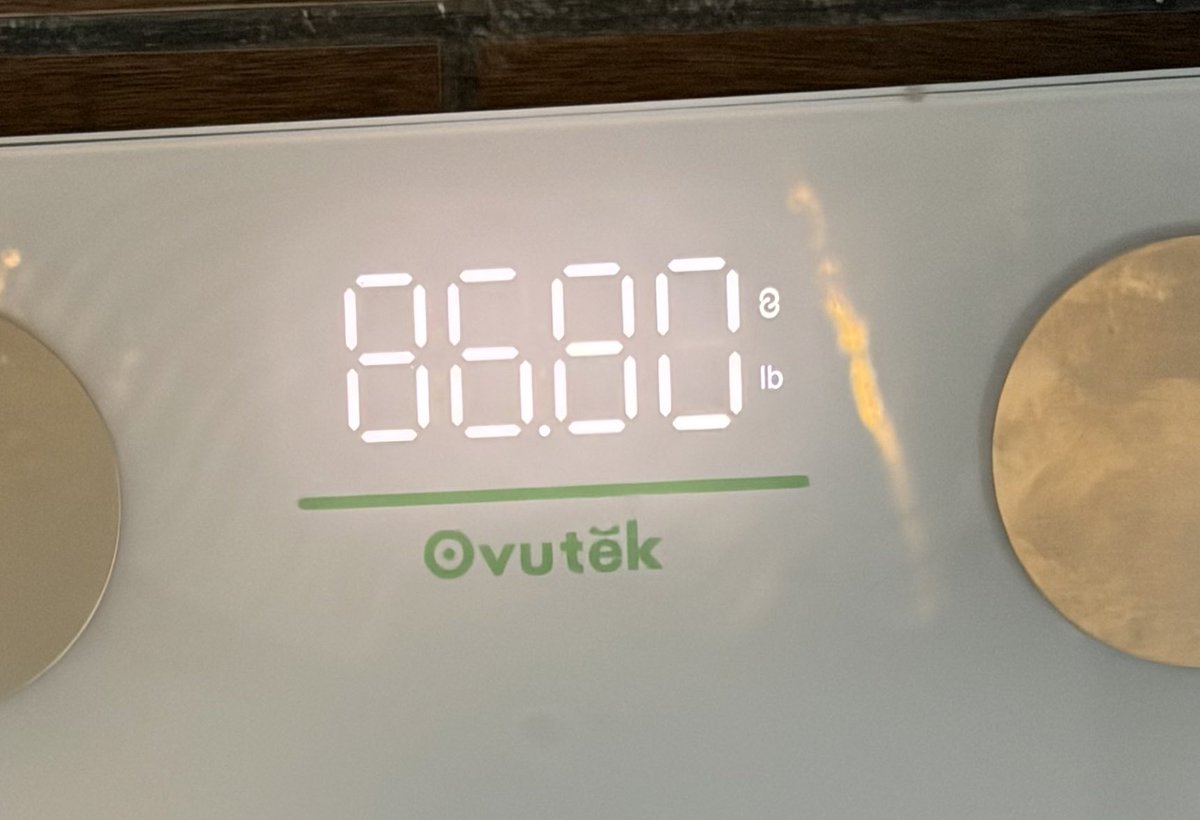 ‎°‧🌷·｡┇Ly ‧₊˚♪ tweet media