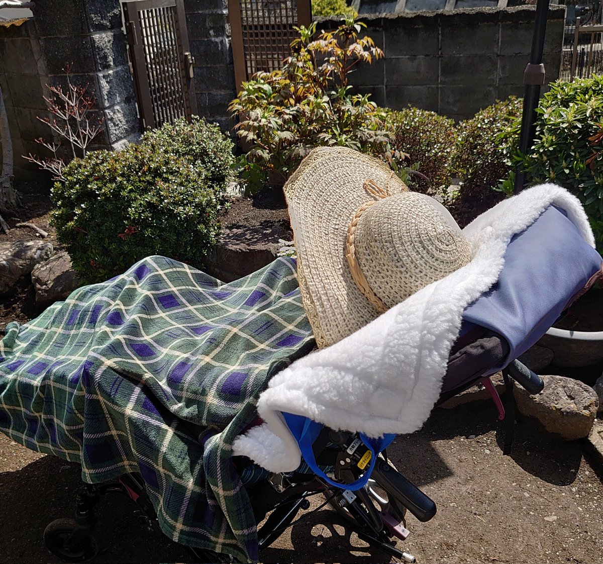 馬🦌ちゃん tweet media