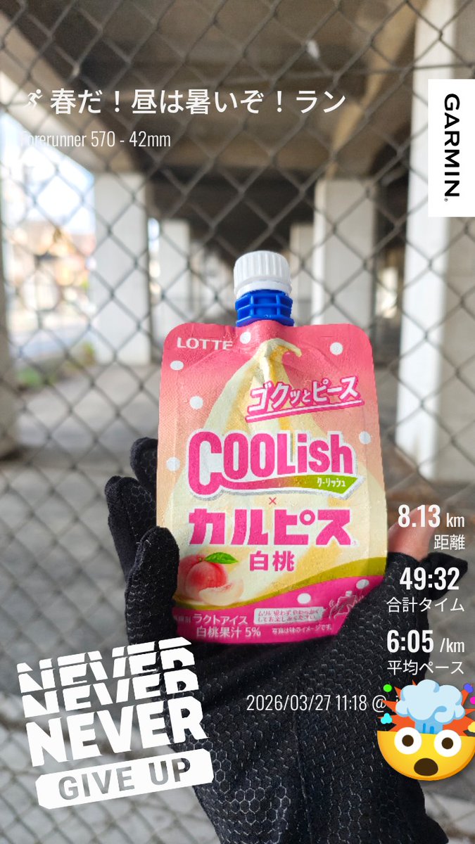 ぽっさん💚次走10月 tweet media