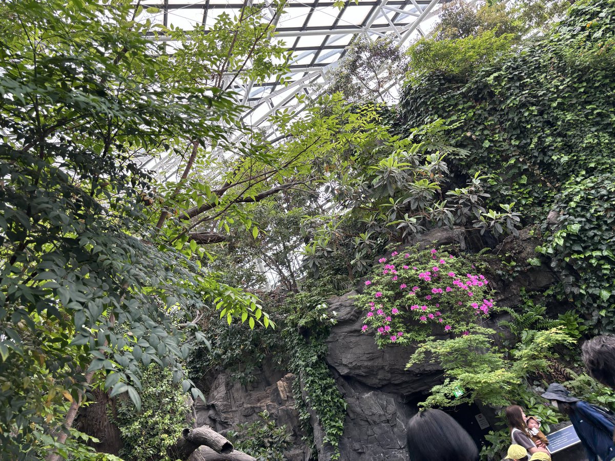 chocoff_moss's tweet photo. 水族館の熱帯エリア大好きです。 #海遊館 https://t.co/nZo7A22f8Y