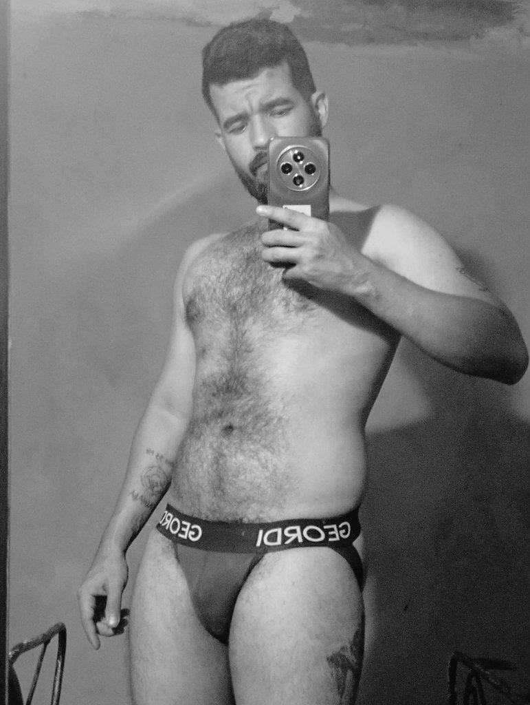 Silver Wolf tweet media