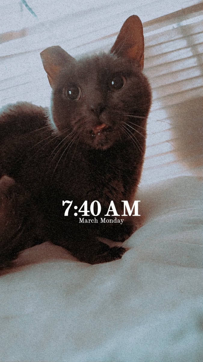 ROOSTER ROOSTERSON III tweet media