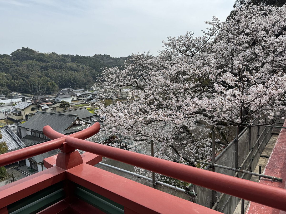 ラウンドフェイサー tweet media