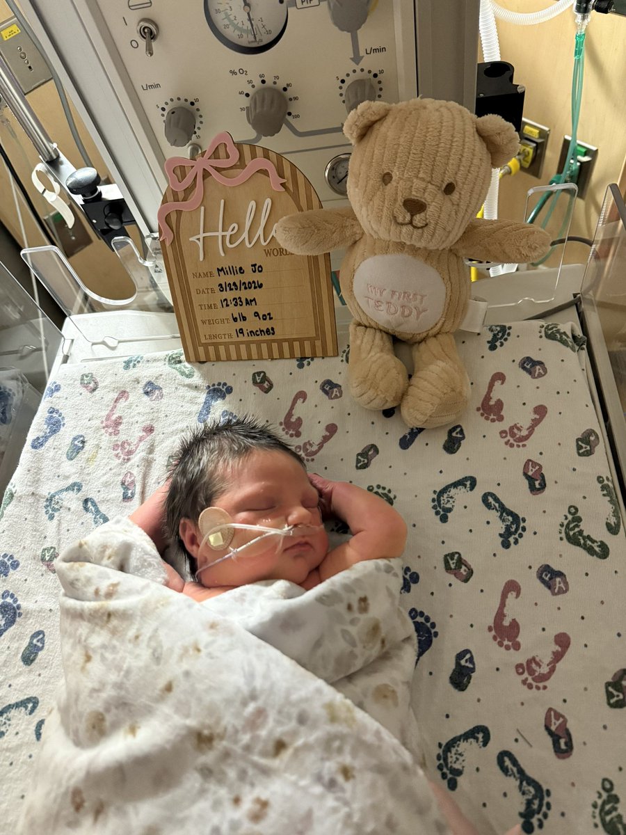 Andrew Crane tweet media