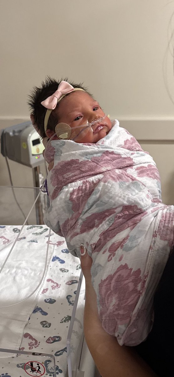 Andrew Crane tweet media