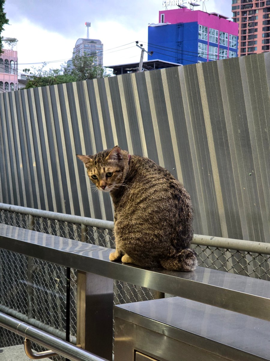 𝘠𝘰𝘰𝘯𝘨𝘉𝘢𝘦 • tweet media