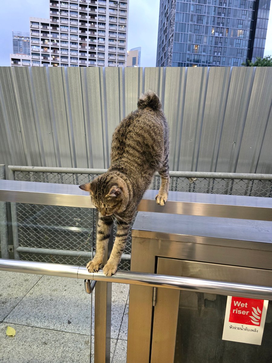 𝘠𝘰𝘰𝘯𝘨𝘉𝘢𝘦 • tweet media