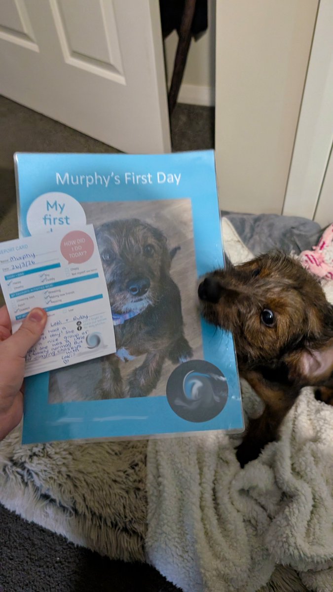 BloodyDrongo tweet media