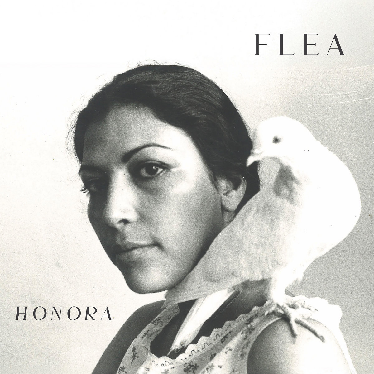 InsaneXWard's tweet photo. #Flea #Honora #Music #Peace #Love https://t.co/NJeN8sE26B