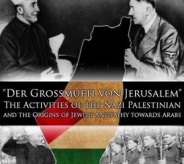 ely ⋆✴︎˚。 tweet media