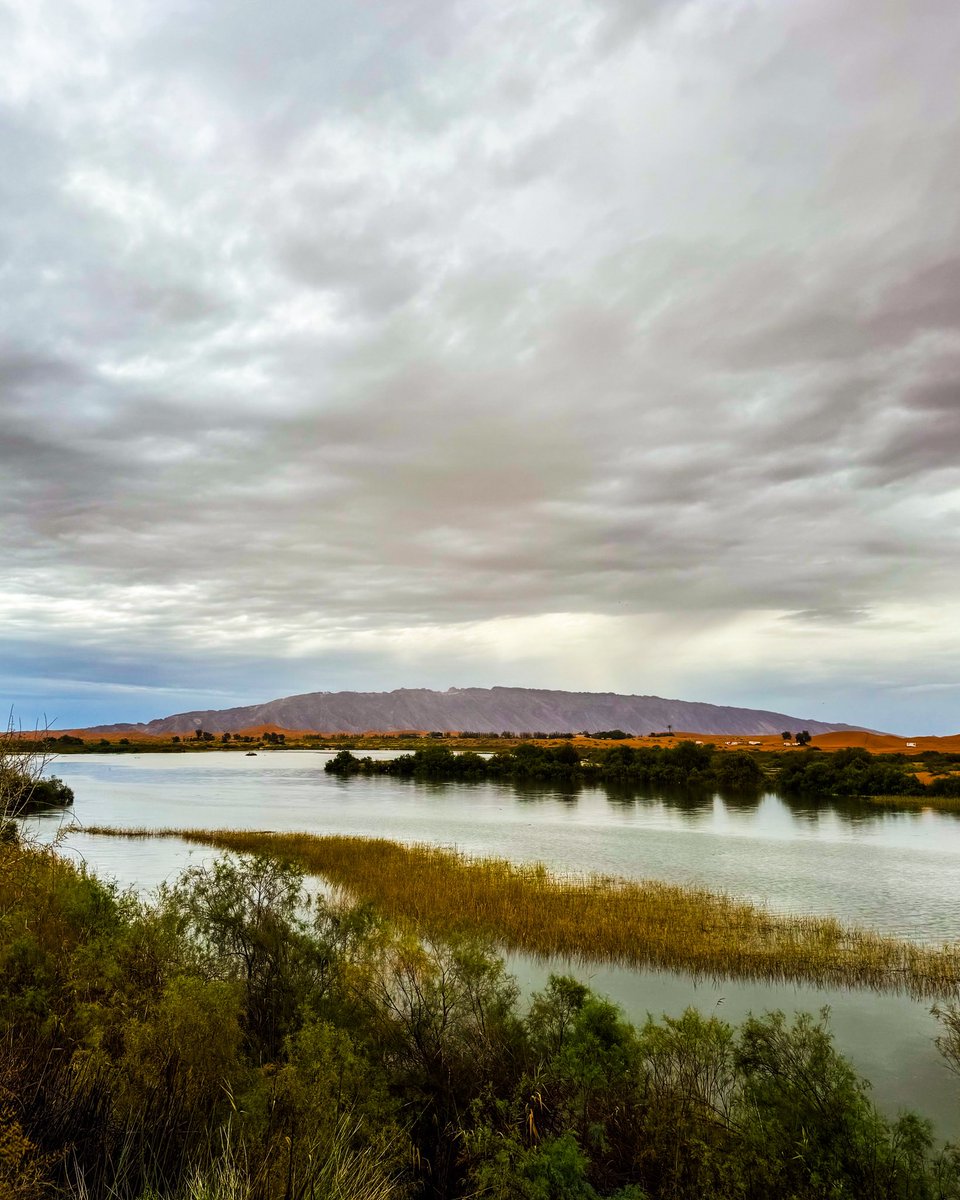 KHALED AL SHAMSI🇦🇪 tweet media