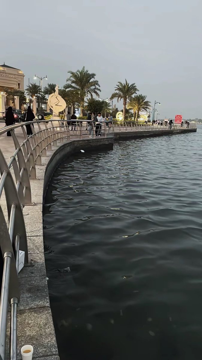 🎞️📷81 tweet media