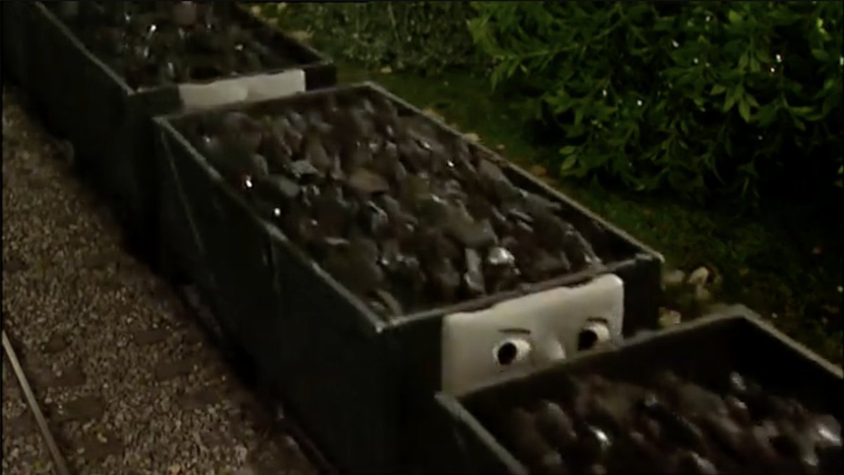 specialtrees01🍉 tweet media