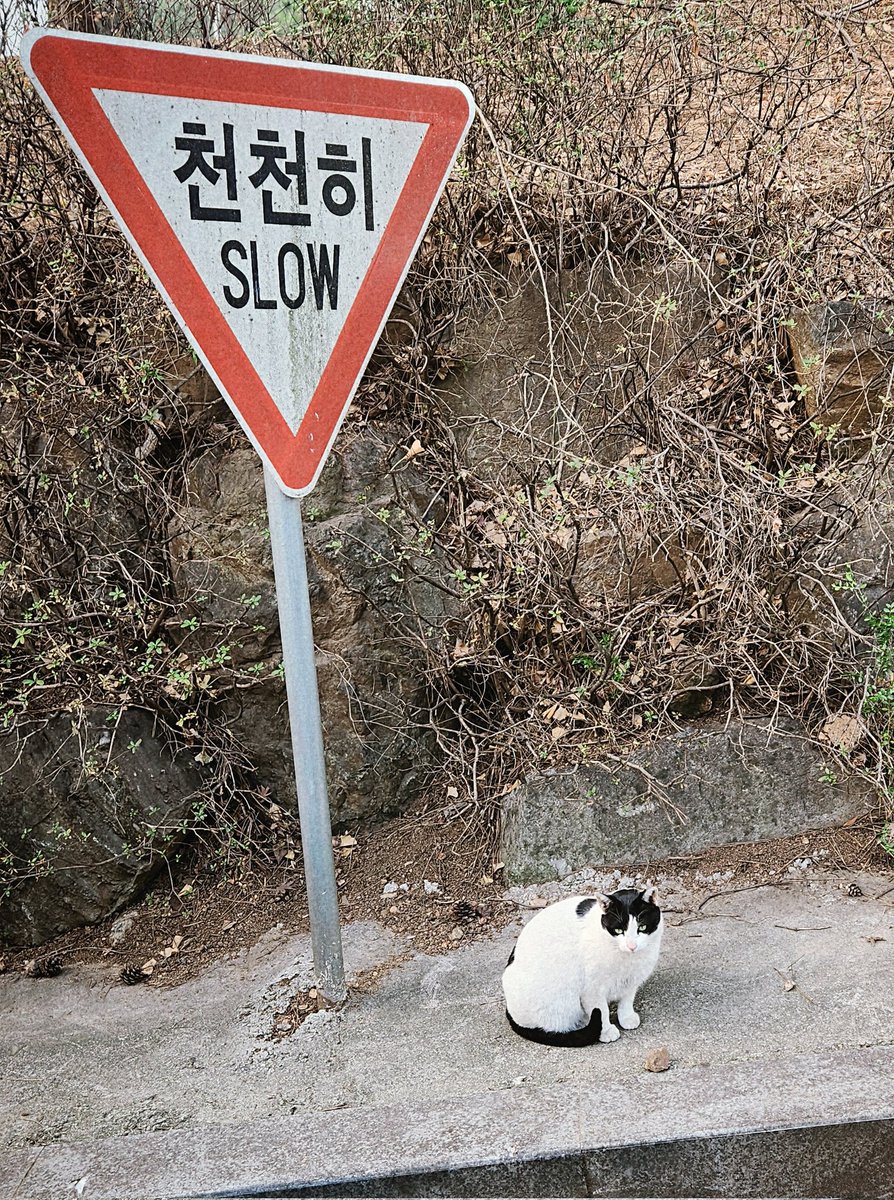 알헤🦋D+2500 tweet media