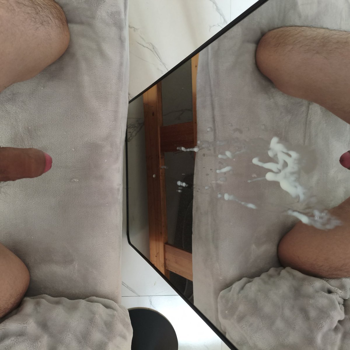 大灰猫 tweet media