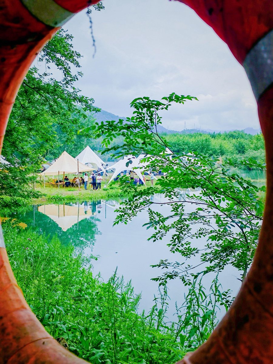 thomas myers tweet media