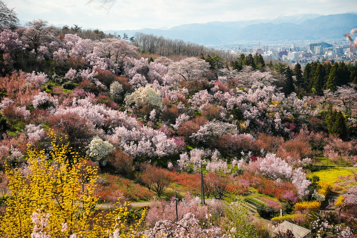 福島県観光物産交流協会 tweet media