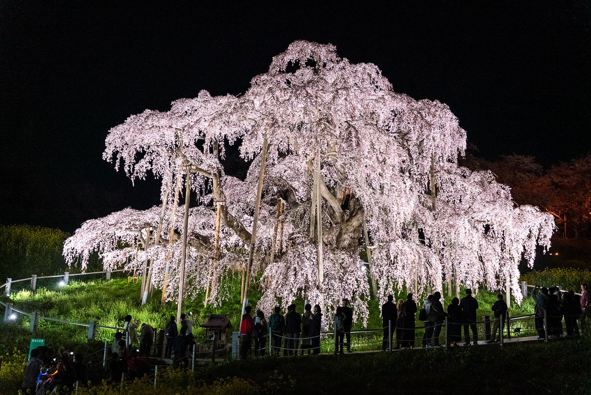 福島県観光物産交流協会 tweet media