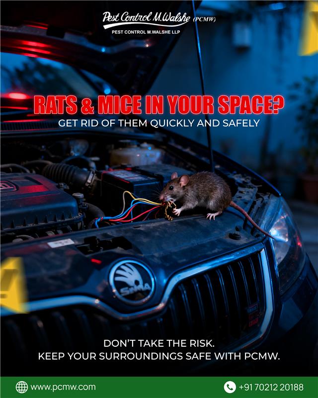 Pest Control M Walshe tweet media