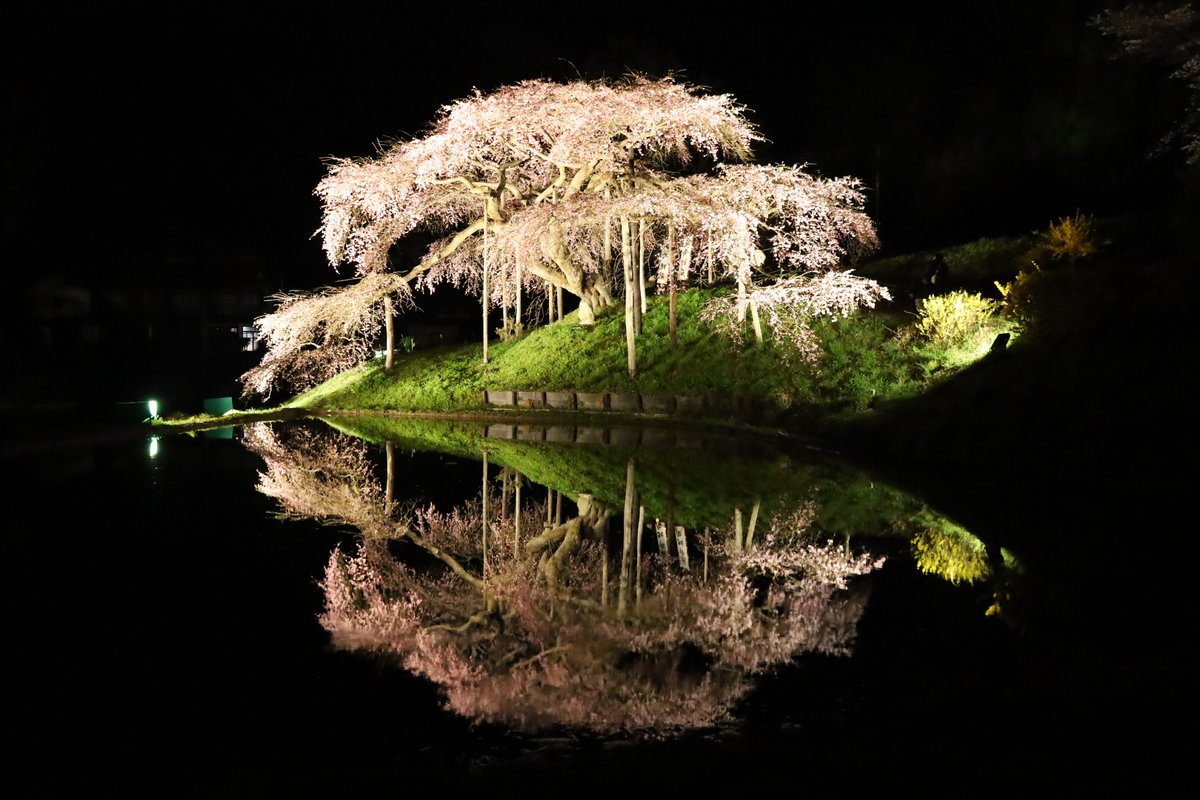 福島県観光物産交流協会 tweet media