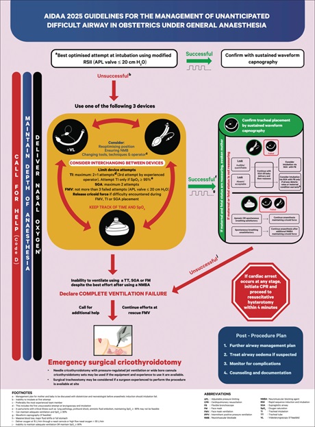 DrRakeshGarg8's tweet photo. 🚨 AIDAA 2025 Obstetric Airway Management Guidelines

The All India Difficult Airway Association (AIDAA) 2025 guidelines for management of unanticipated difficult airway in obstetrics under general anaesthesia

Regards 
Prof Rakesh Garg 
AIIMS New Delhi 
AIDAA guidelines Author https://t.co/j3XVwfby7A