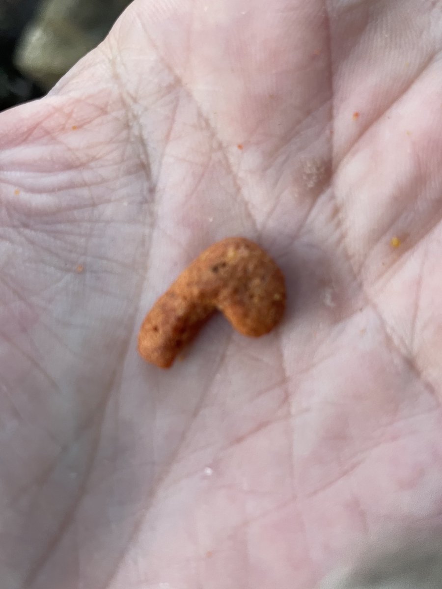 Buffy the misogynist slayer (cervix haver) tweet media