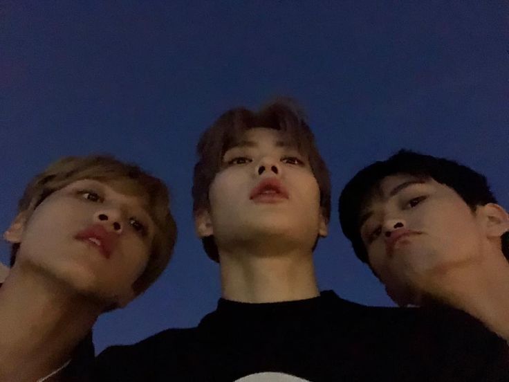 viellé. tweet media