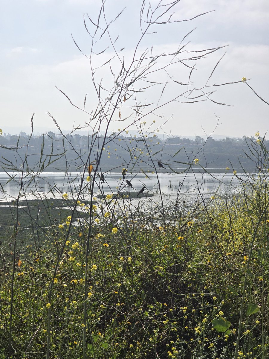 The Ghost of Joe MacMillan tweet media