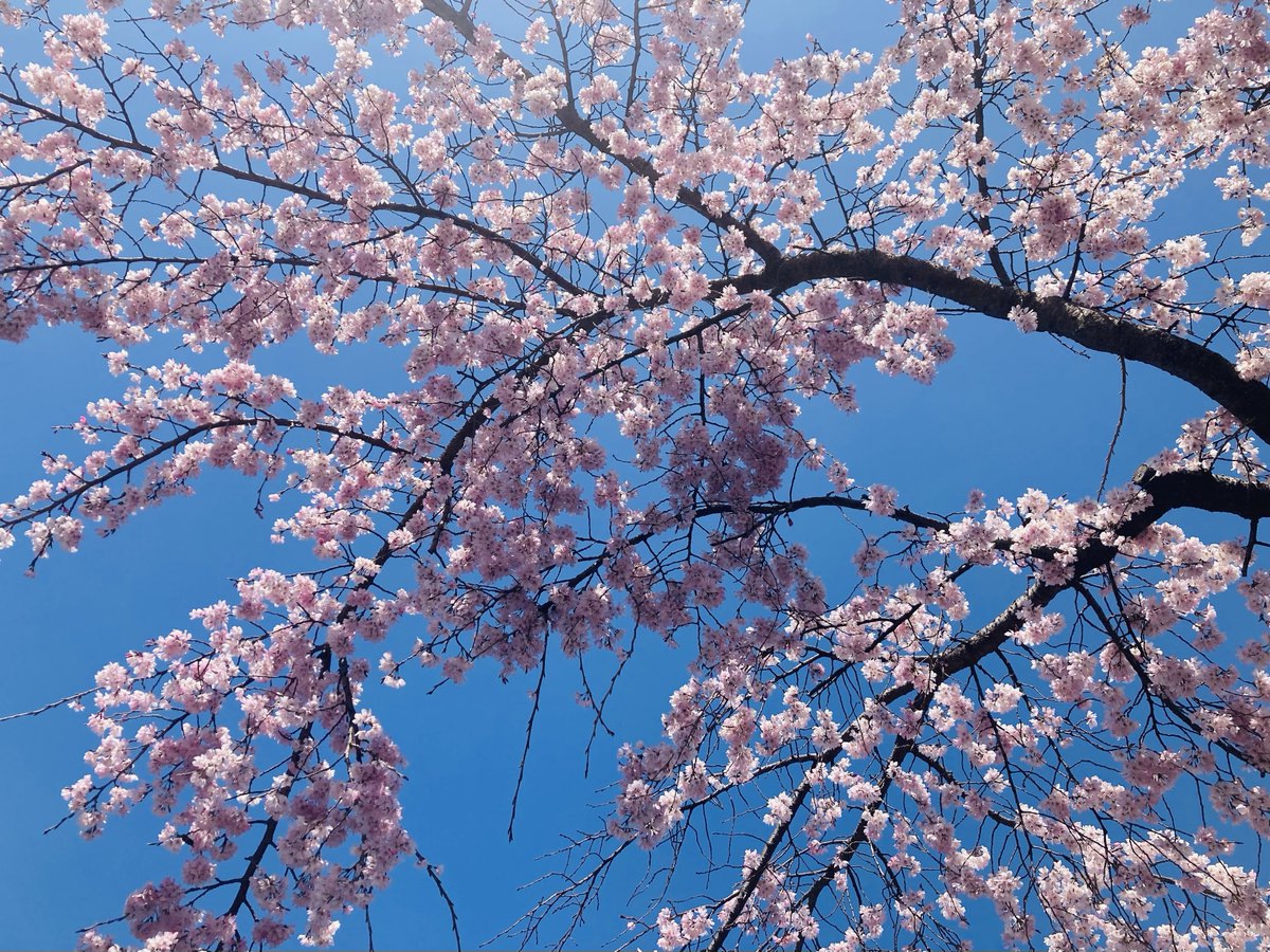 健美薬湯株式会社【公式】 tweet media