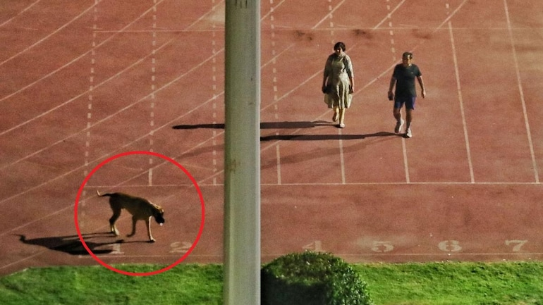 Nalini Unagar tweet media