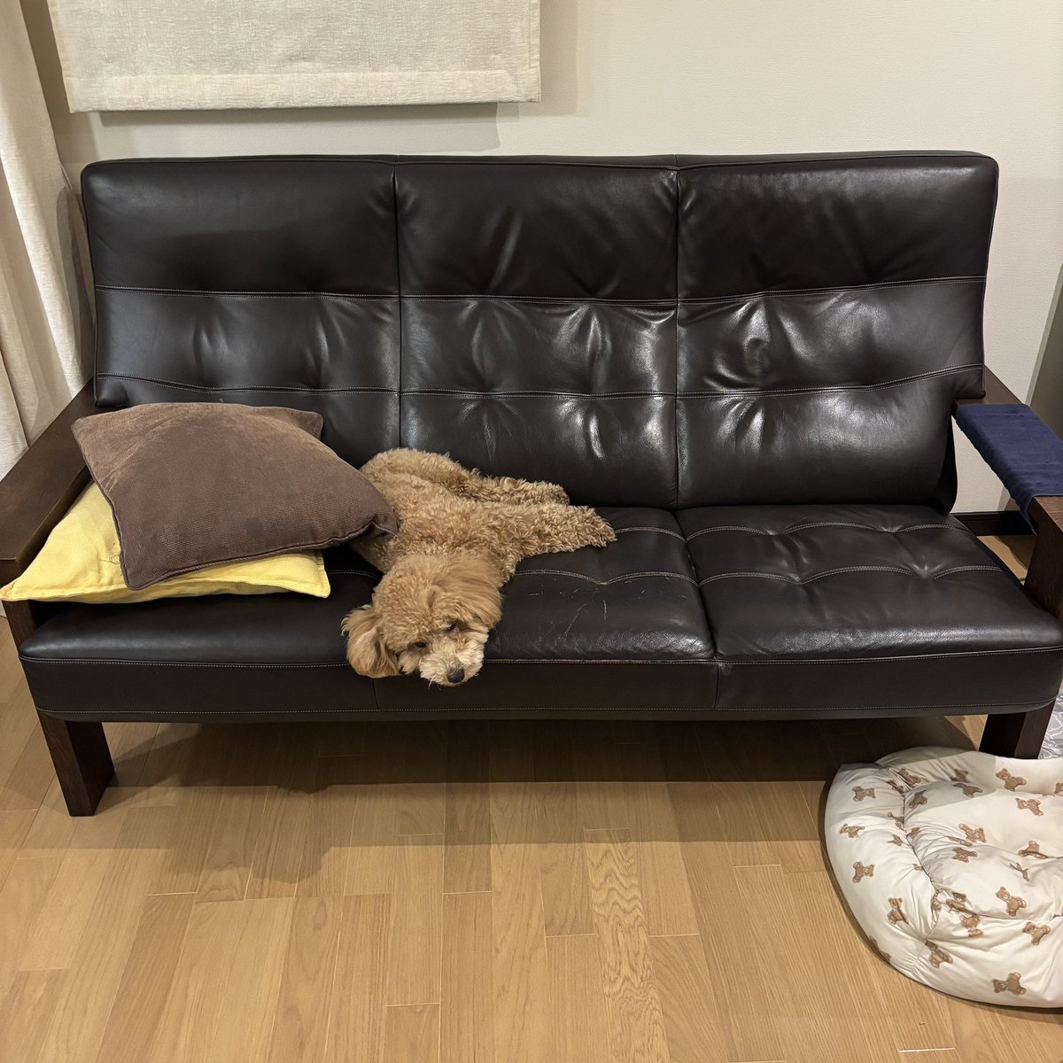 Tsuchiyan📦 tweet media