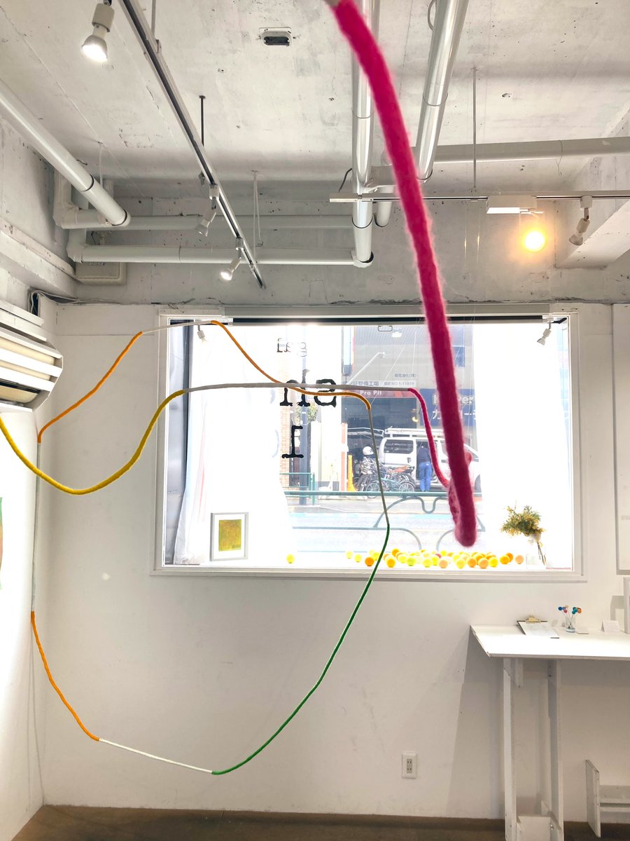 gallery  shell102 tweet media