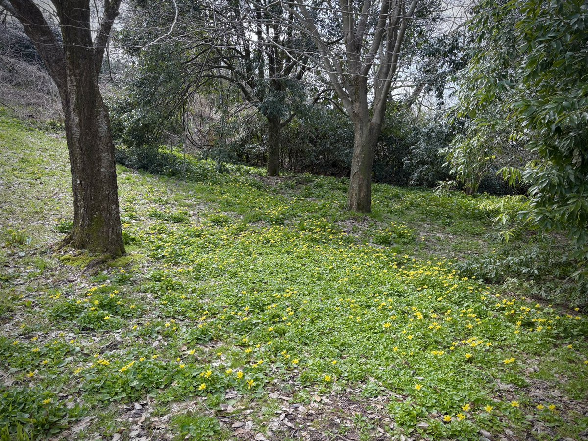 Crochet artist ala tweet media