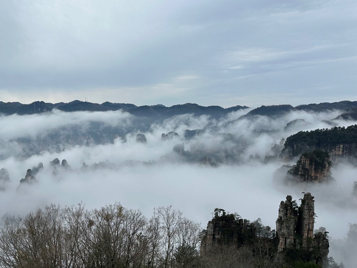 rui skrunkle🟥 tweet media