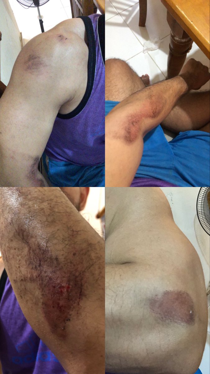 Mermaicula tweet media