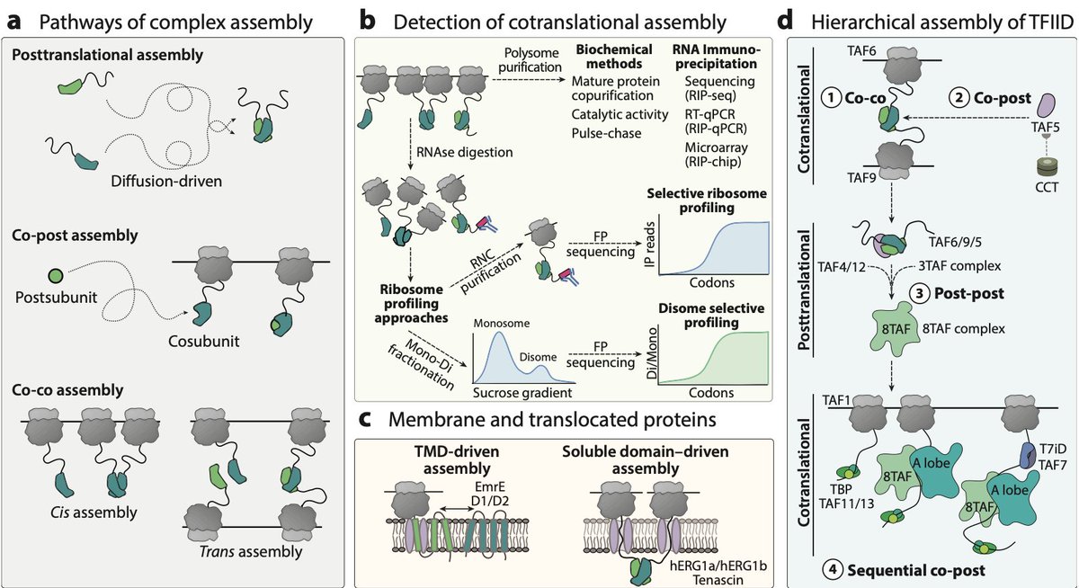good papers tweet media