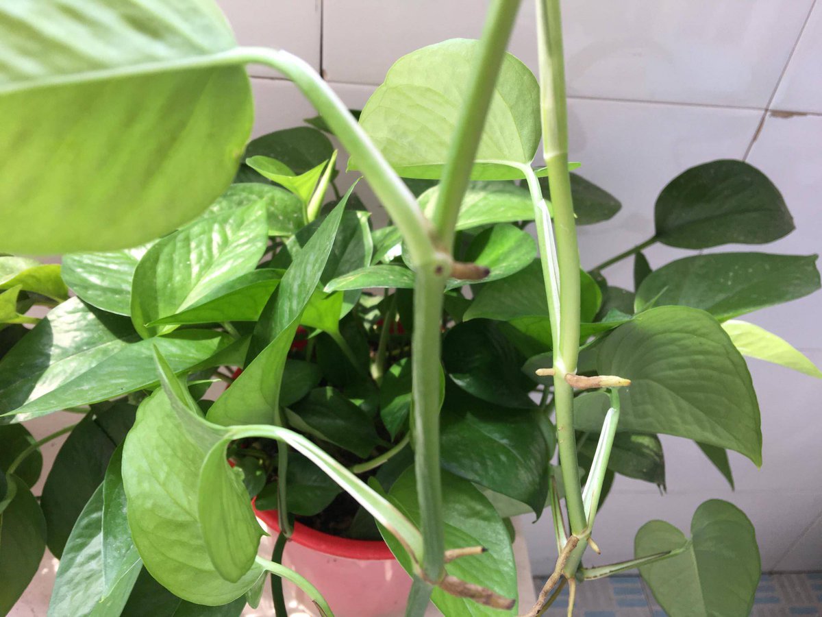 sarah stuart tweet media