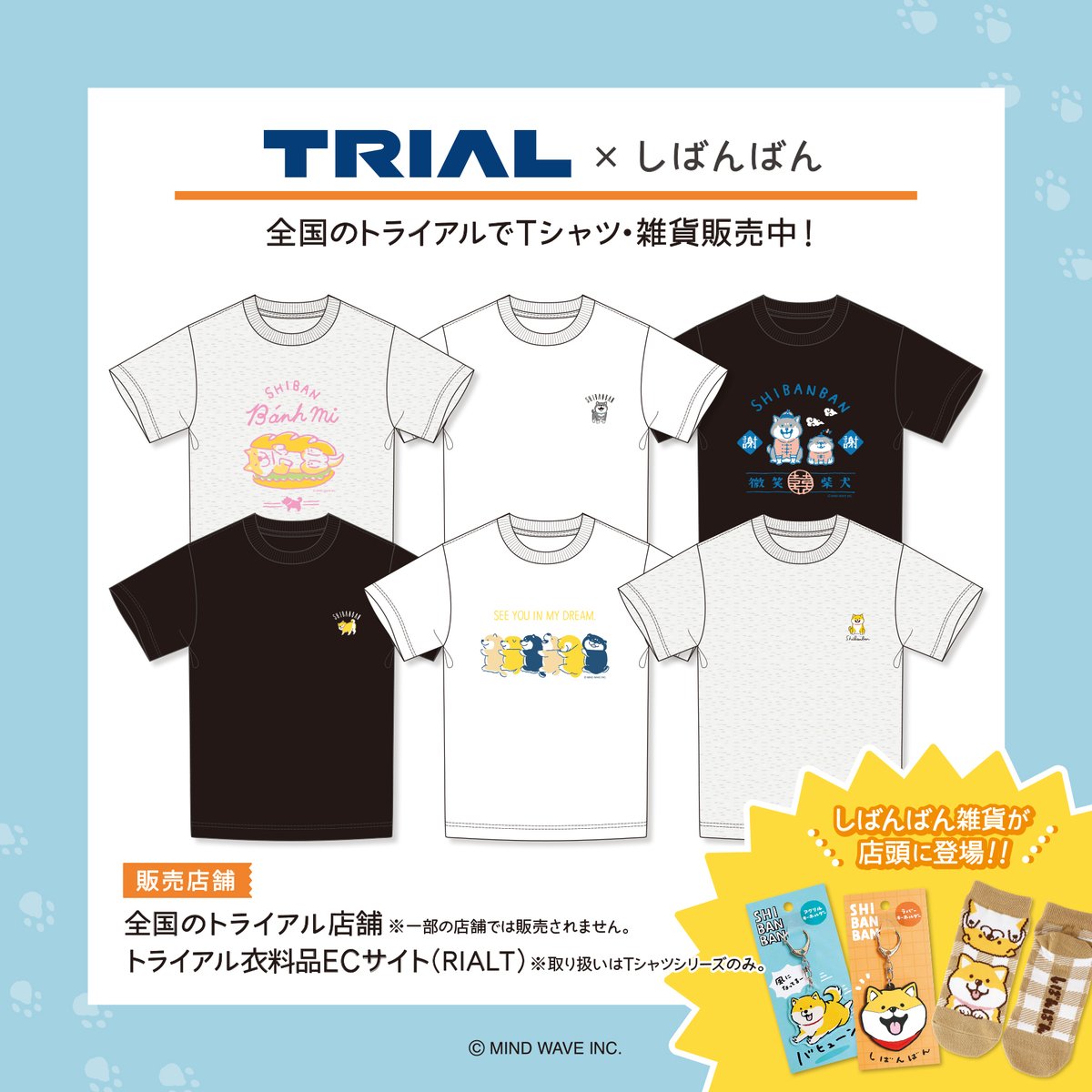 株式会社マインドウェイブ tweet media