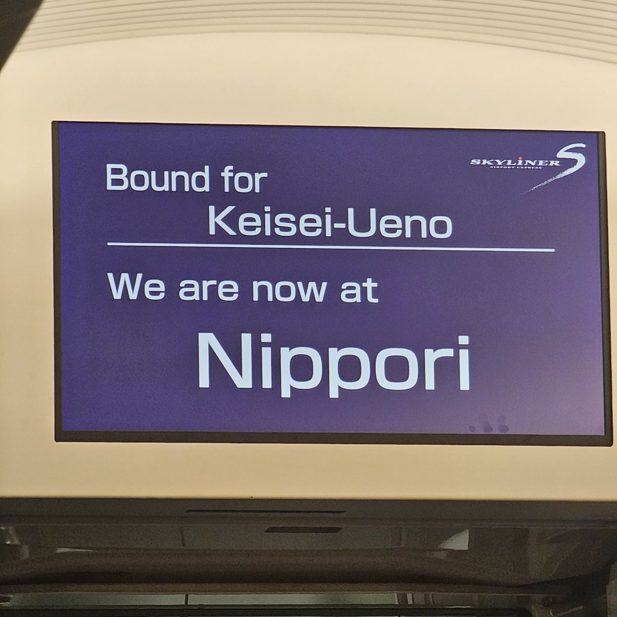 노바 ノヴァ tweet media