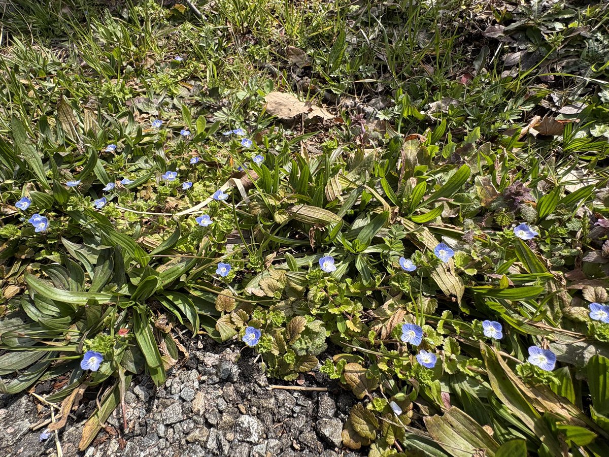 Crochet artist ala tweet media