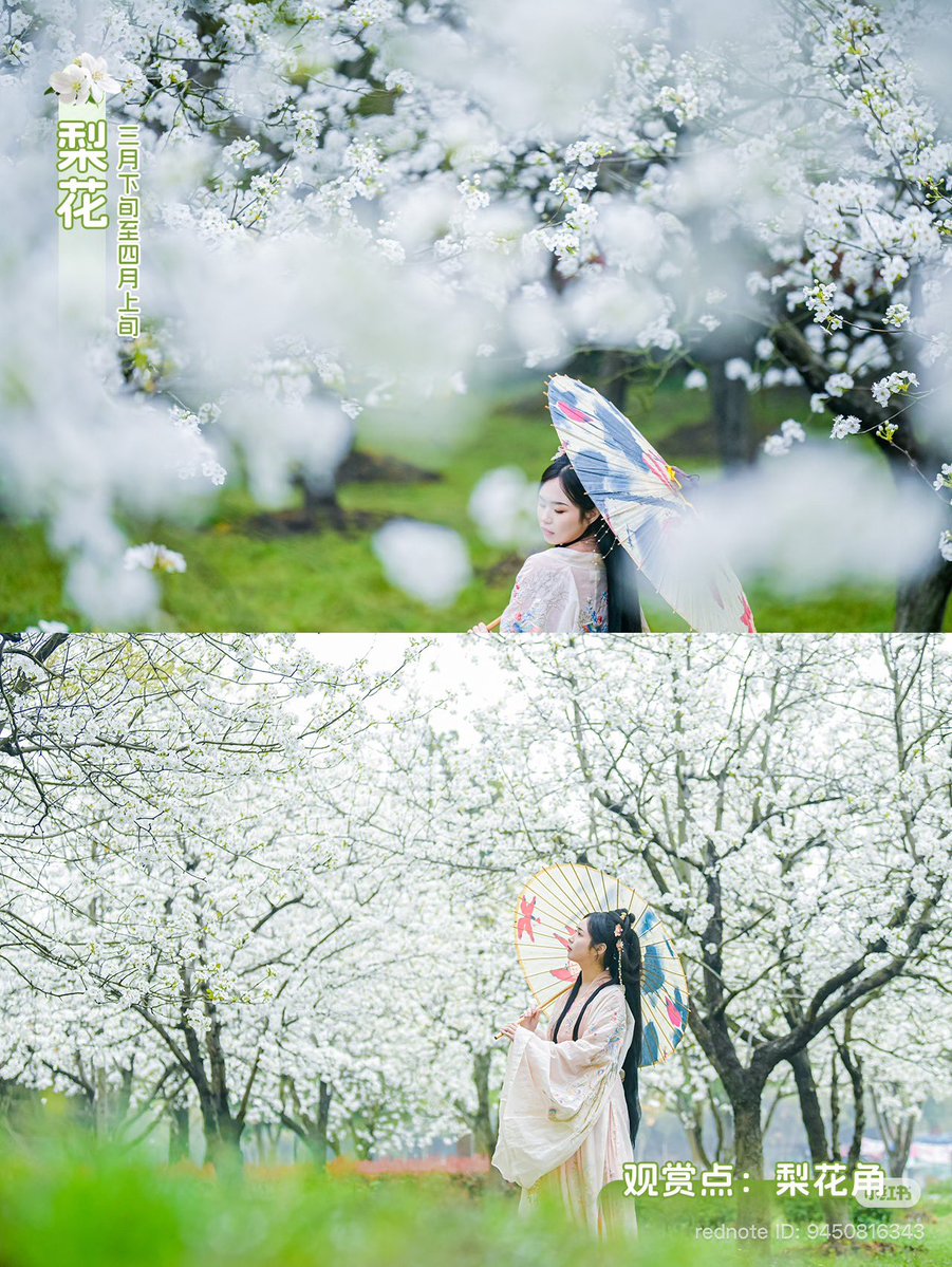 SylusCrow2034 - Aprilus 🎉 Happy Sylus Birthday 🎉 tweet media