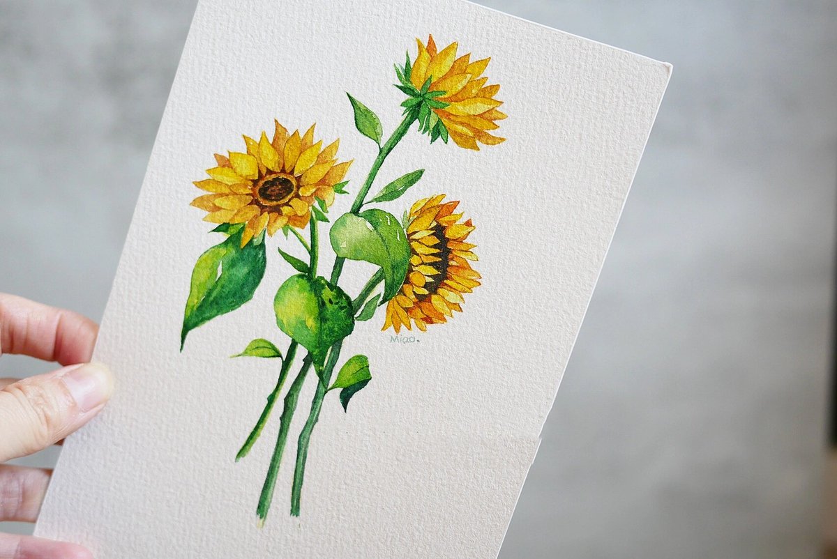 AHMED ABDALLAH tweet media