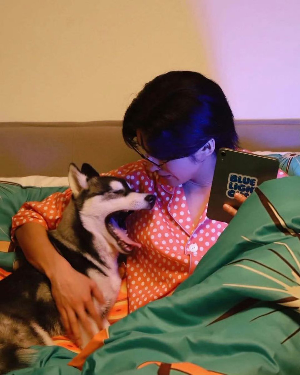 ᴍᴇ~ᴍᴇ ❤︎ ✿ tweet media