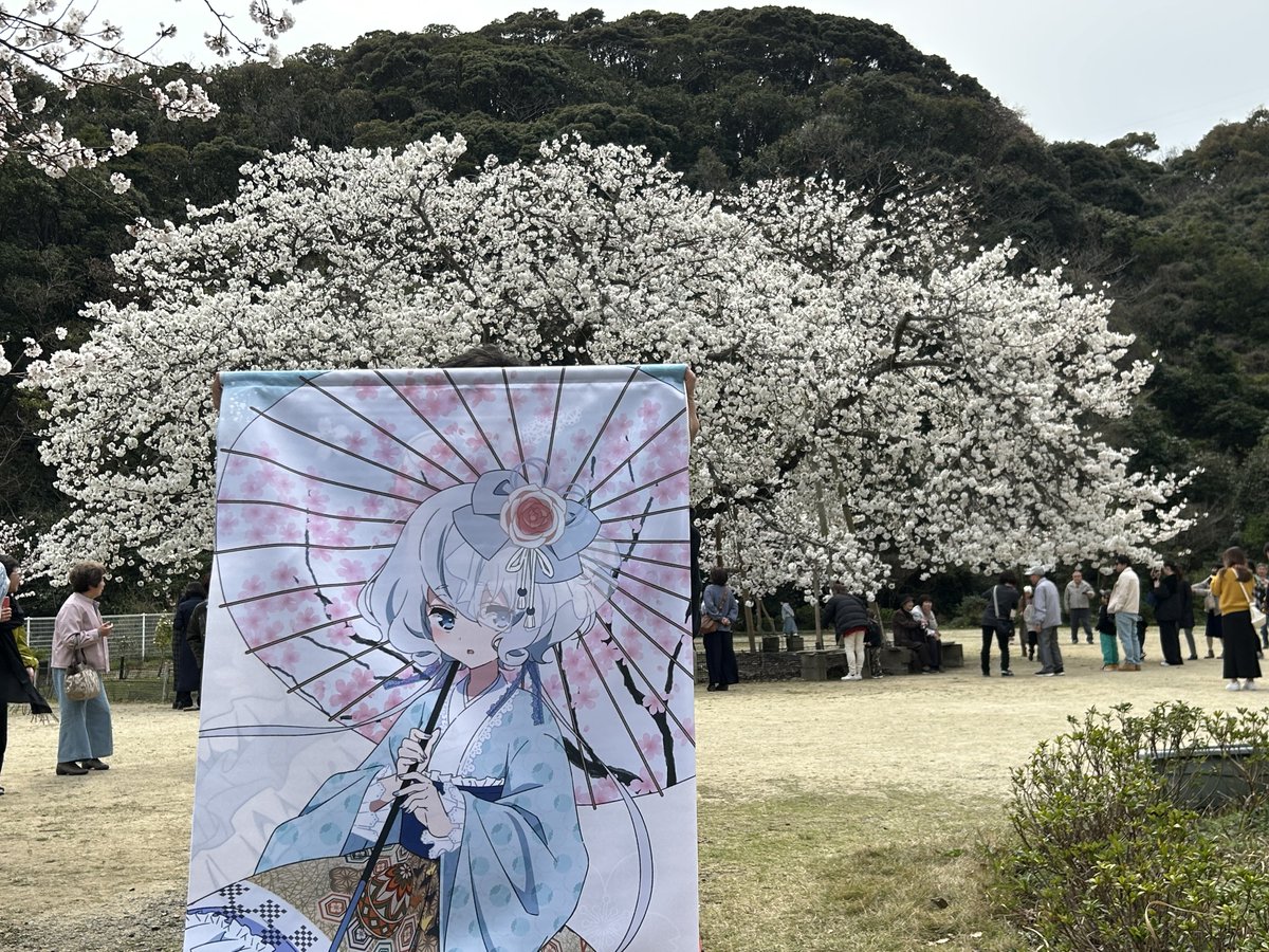 あーと【伝説の金欠ゾンビィR🧟】 tweet media