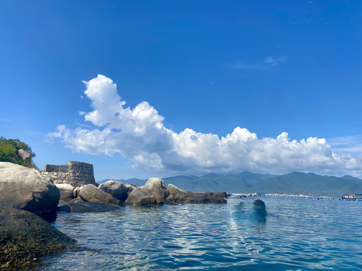 Cilin (mainnet arc) tweet media