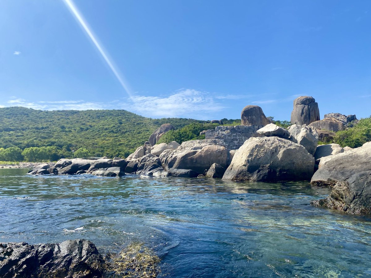 Cilin (mainnet arc) tweet media