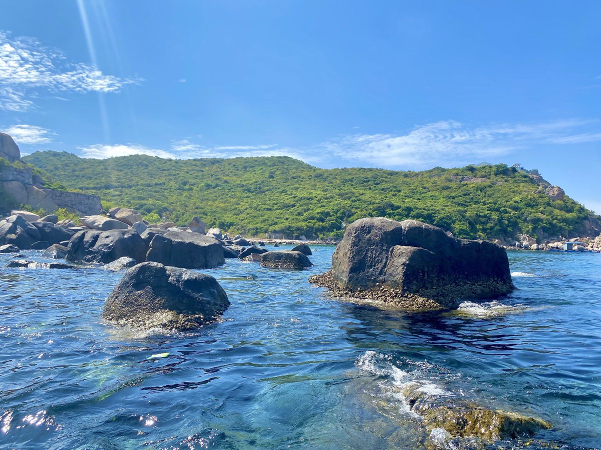 Cilin (mainnet arc) tweet media