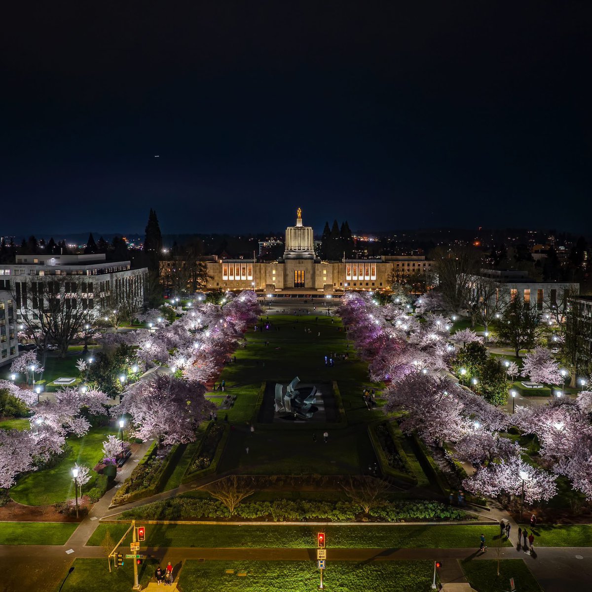 JoshCozartWx's tweet image. Stunning views of the cherry blossoms blooming at the Oregon State Capitol! 🌸
📸: Edwin Nunez
#Oregon #CherryBlossoms
