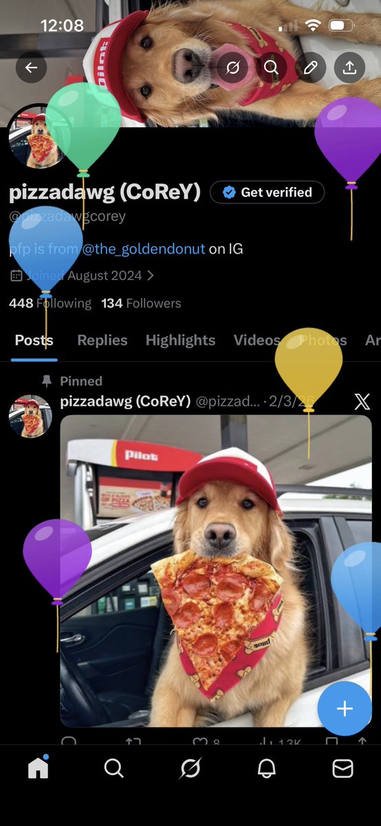 pizzadawg (CoReY) tweet media